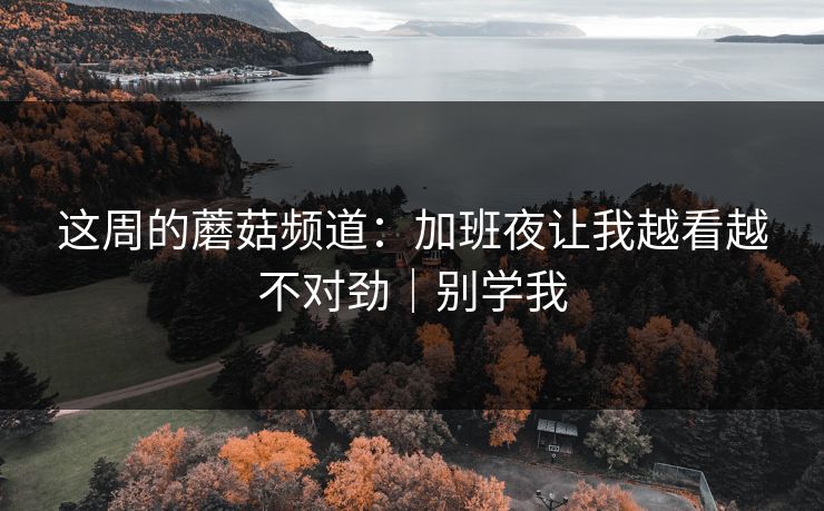 这周的蘑菇频道:加班夜让我越看越不对劲|别学我 这周的蘑菇频道:加班夜让我越看越不对劲|别学我