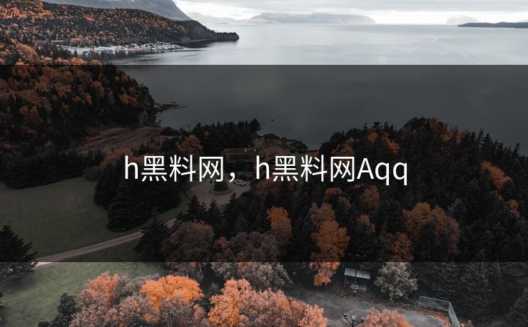 h黑料网，h黑料网Aqq