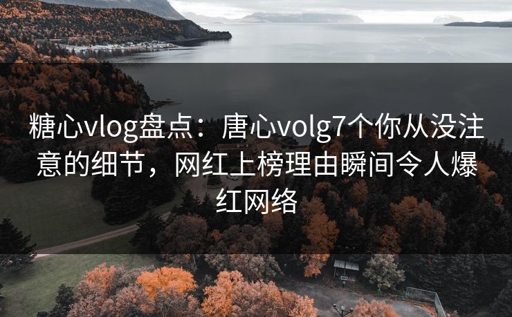 糖心vlog盘点：唐心volg7个你从没注意的细节，网红上榜理由瞬间令人爆红网络