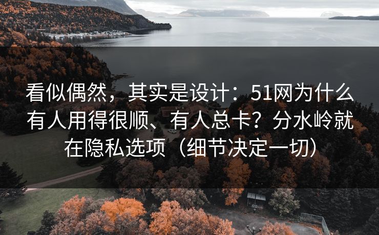 看似偶然,其实是设计:51网为什么有人用得很顺、有人总卡?分水岭就在隐私选项(细节决定一切) 看似偶然,其实是设计:51网为什么有人用得很顺、有人总卡?分水岭就在隐私选项(细节决定一切)